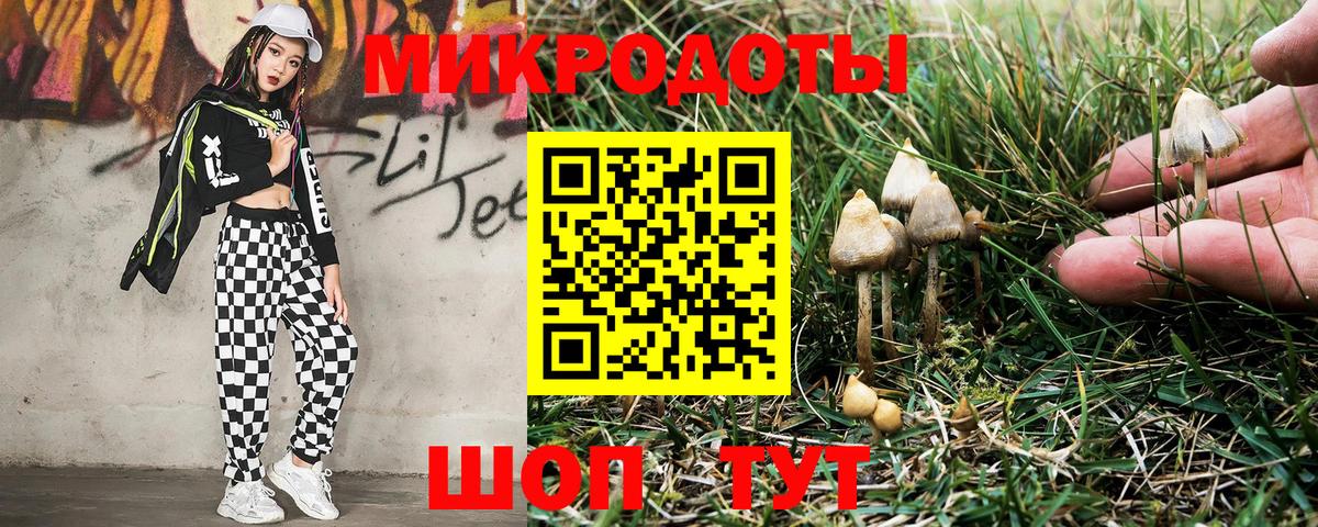 Псилоцибиновые грибы Psilocybine cubensis Беслан